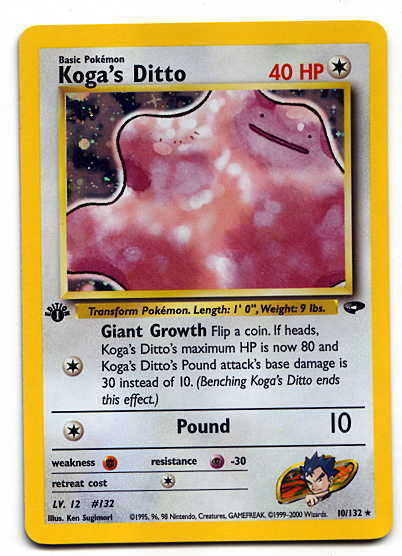 Koga's Ditto