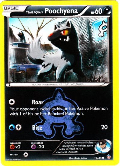 Team Aqua's Poochyena